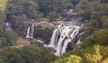 Memorable 3 Days New Delhi to Munnar Wildlife Trip Package