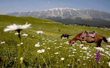 Best 6 Days Srinagar to Pahalgam Luxury Holiday Package