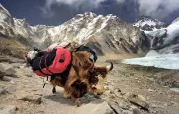 Pleasurable 7 Days New Delhi to Chandratal Luxury Holiday Package