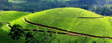 Experience 5 Days 4 Nights Mysore Hill Stations Holiday Package