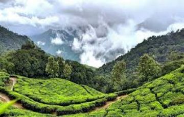 Memorable 3 Days 2 Nights Kerala Tour Package