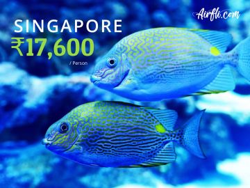 Singapore Buddha Temple Tour Package for 4 Days from Singapore