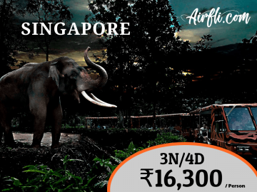 Heart-warming 4 Days Singapore to Simgpaore Raffles Plavce Family Tour Package