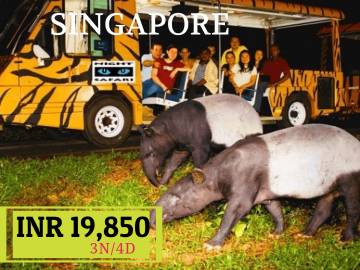 Best 4 Days Singapore Trip Package by AIRFLICOM