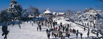 Best 4 Days Manali Wildlife Holiday Package