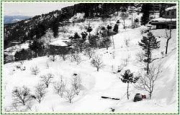 Family Getaway 3 Days 2 Nights Chail Trip Package