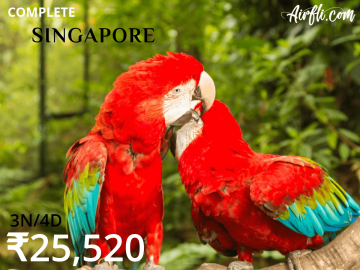 Pleasurable 3 Nights 4 Days Singapore Trip Package by AIRFLICOM