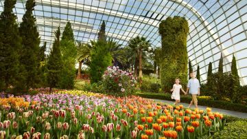 Experience 5 Days CHENNAI to SINGAPORE Tour Package