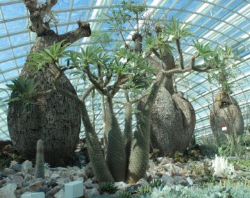 Amazing 5 Days CHENNAI to SINGAPORE Tour Package