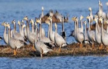 Experience 2 Days Sultanpur Bird Sanctuary Romance Tour Package