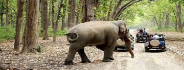 6 Days 5 Nights Delhi to Nainital Tour Package