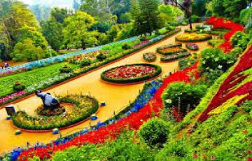 Best 3 Days Ooty Hill Stations Holiday Package