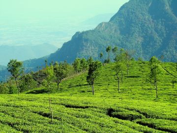 Best 3 Days Ooty Hill Stations Holiday Package Best 3 Days Ooty Hill Stations Holiday Package