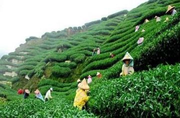 Family Getaway Darjeeling Hill Stations Tour Package for 3 Days