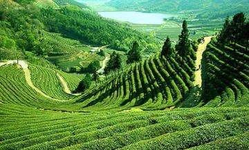 Memorable 4 Days 3 Nights Darjeeling Friends Tour Package