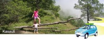 3 Days 2 Nights Kasauli Wildlife Vacation Package