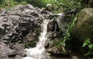 3 Days 2 Nights Kasauli Wildlife Vacation Package