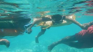 Ecstatic 6 Days Havelock Nature Tour Package