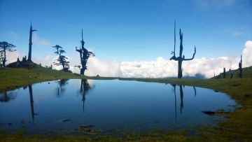 Family Getaway 10 Days 9 Nights Sandakphu Vacation Package