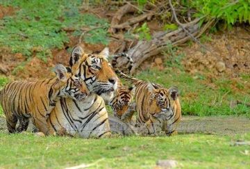 Best 2 Days 1 Night Nagpur Vacation Package