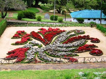 5 Days 4 Nights KANDY, NUWARA ELIYA with COLOMBO Romantic Holiday Package