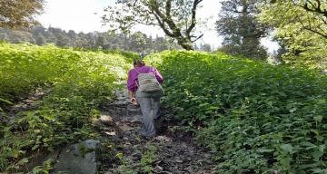 Beautiful 3 Days Manali to Solang Valley Hill Stations Vacation Package