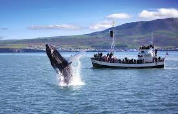 Experience 10 Days 9 Nights Akureyri Tour Package