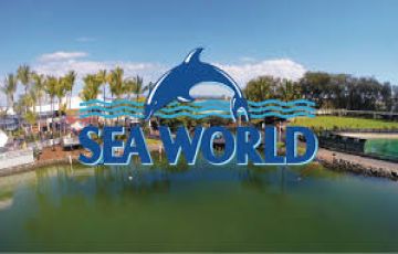 Memorable 11 Days 10 Nights Sydney Honeymoon Tour Package