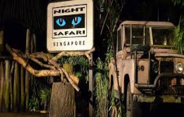 Beautiful 8 Days Delhi to Bintan Honeymoon Holiday Package