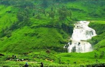 Family Getaway 4 Days Negombo to Nuwara Eliya Vacation Package