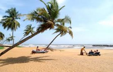 Family Getaway 4 Days Negombo to Nuwara Eliya Vacation Package