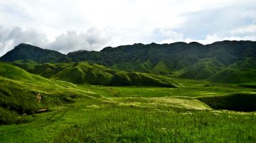 Amazing 4 Days Dzkou with Puliebadze Tour Package