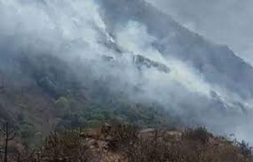 Best 5 Days Udaipur Wildlife Vacation Package