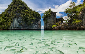 Amazing 5 Days PHI PHI ISLAND Trip Package