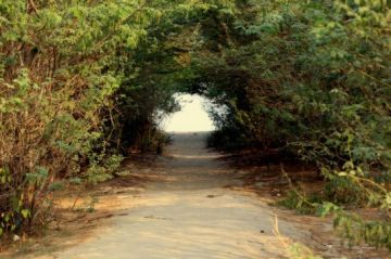 Pleasurable 3 Days 2 Nights Bakkhali Vacation Package