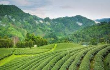 Experience 4 Days Darjeeling to Kalimpong Offbeat Vacation Package