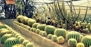 Experience 4 Days Darjeeling to Kalimpong Offbeat Vacation Package