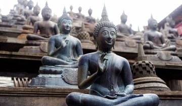 5 Days 4 Nights CHENNAI to NUWARA ELIYA Shopping Trip Package