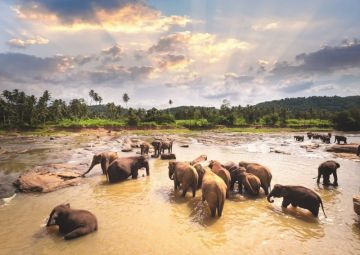 Experience 4 Days CHENNAI to KANDY Trip Package