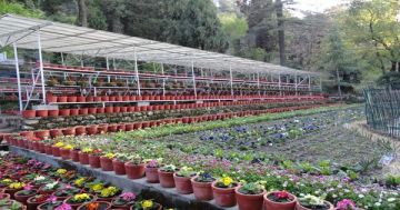 Amazing 4 Days Delhi to Dhanaulti Hill Stations Trip Package