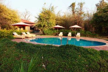 Pleasurable 3 Days 2 Nights Bandhavgarh National Park, Tala, Madhya Pradesh and India Wildlife Tour Package