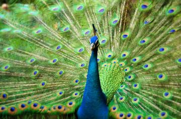 Beautiful KUALA LUMPUR Tour Package for 6 Days from CHENNAI