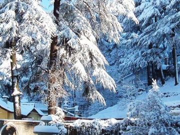 Memorable 3 Days Manali Holiday Package