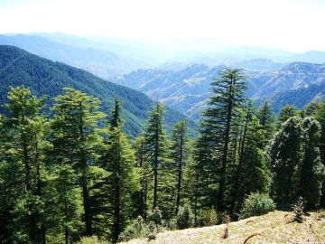 Amazing 3 Days Delhi to Shimla Trip Package