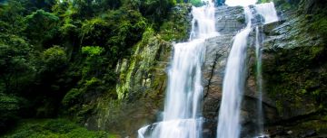 5 Days 4 Nights PINNAWALA Wildlife Tour Package