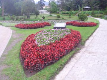 Beautiful 4 Days 3 Nights COLOMBO and KANDY Trip Package