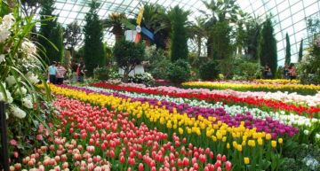 Memorable SINGAPORE Tour Package for 2 Days