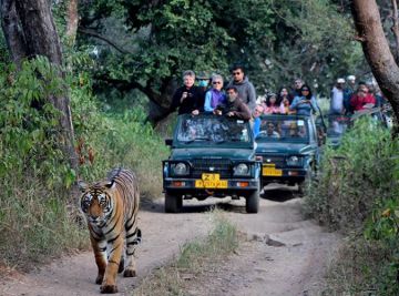 Ecstatic 3 Days Jaipur to Jaipur Ranthambore Family Holiday Package