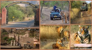 Ecstatic 3 Days Jaipur to Jaipur Ranthambore Family Holiday Package
