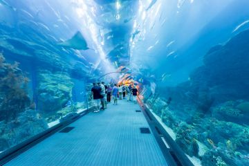 Family Getaway KUALA LUMPUR Tour Package for 2 Days Family Getaway KUALA LUMPUR Tour Package for 2 Days